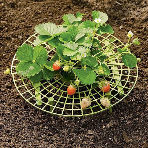 Pcs garden climbing pergola - pcs,