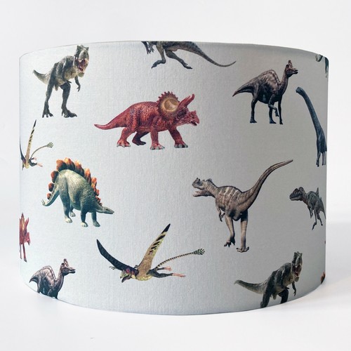 Children boy dinosaur - boy's,