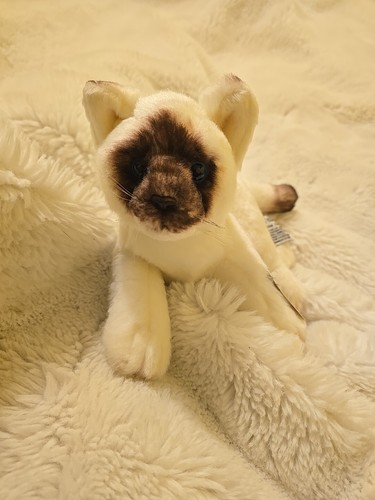 Yomiko classics siamese cat - classics,