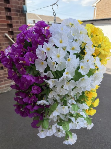 Hanging basket - hanging,