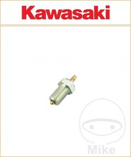 Kawasaki Z 1000 ST 1980 OE