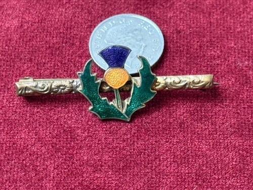 Vintage scottish thistle - scottish,