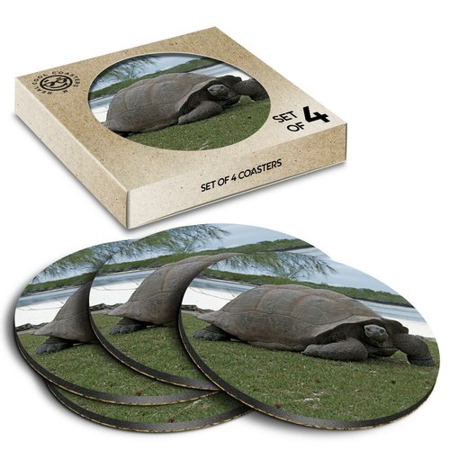 Boxed round coasters - 4,