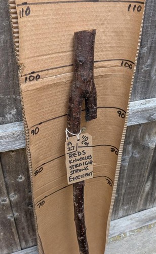 Blackthorn walking stick shank - stick,