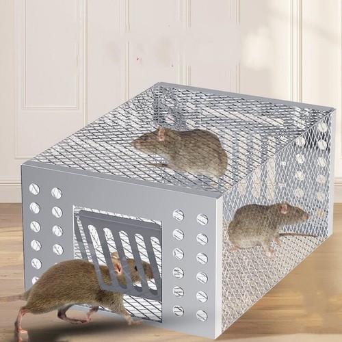 Rat mouse trap catcher humane - rat,