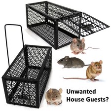2PACK Humane Live Animal Rat