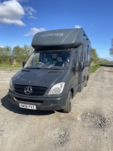 Mercedes horsebox 2008 - horsebox, 2008|