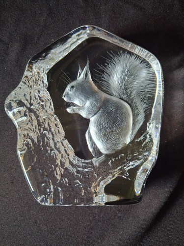 Mats jonasson squirrel - jonasson,