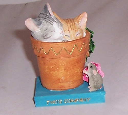 Country artists kitten tales - artists,
