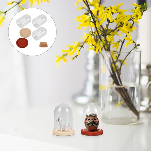 Reusable mini glass dome with - mini,