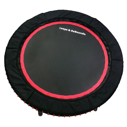 Leaps rebounds mini - rebounds,