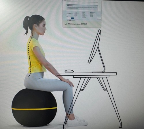 Technogym wellness ball active - ball,
