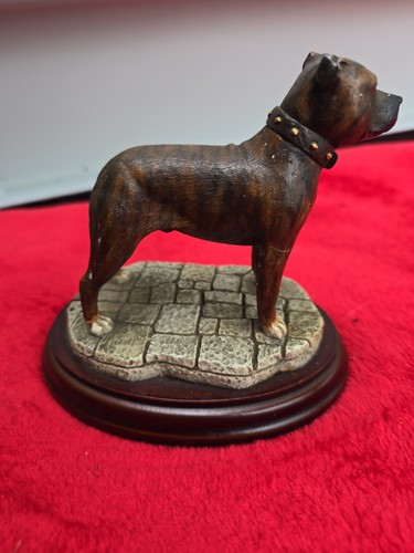 Best breed staffordshire - of,