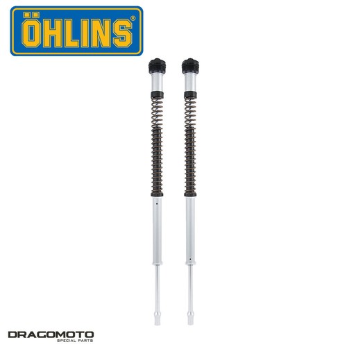 Cartridge kit triumph - cartridge,