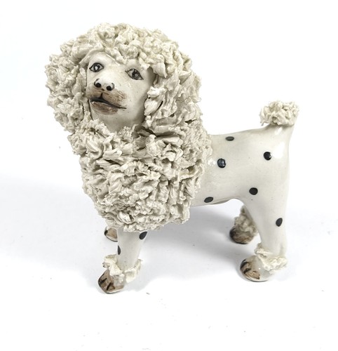 Antique staffordshire poodle - antique,