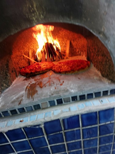 Wood fired pizza oven - wood,