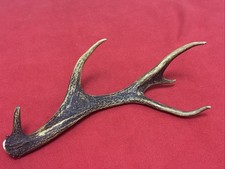 SIKA DEER ANTLER 213g.   aprox. 36cm.