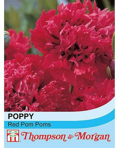 Thompson morgan poppy red - morgan,