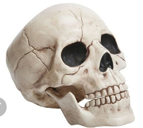 White skull large halloween - white,