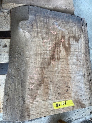 Scottish elm hardwood - elm,