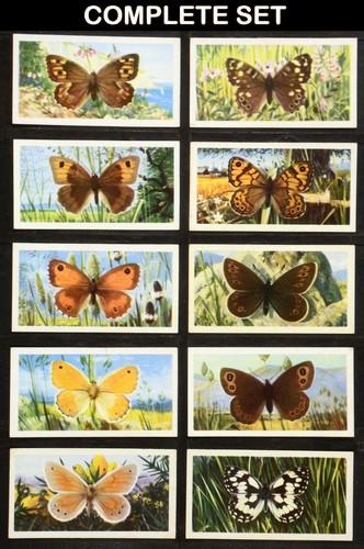 British butterflies brooke - british,