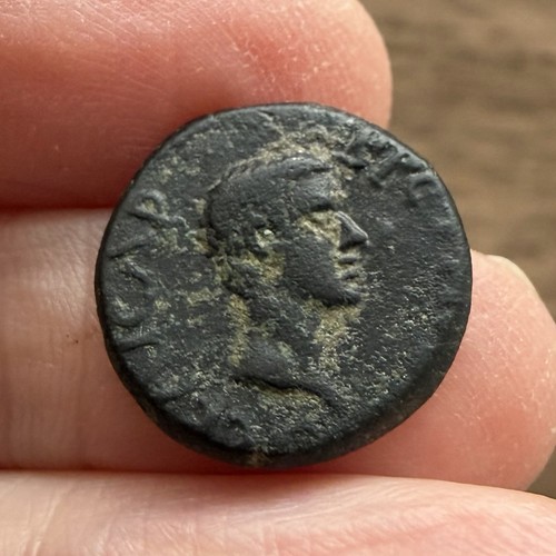 Roman britannicus son of - britannicus., (son