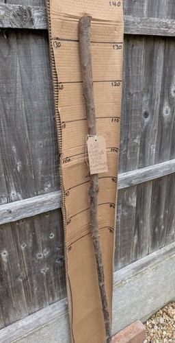Blackthorn walking stick shank - walking,