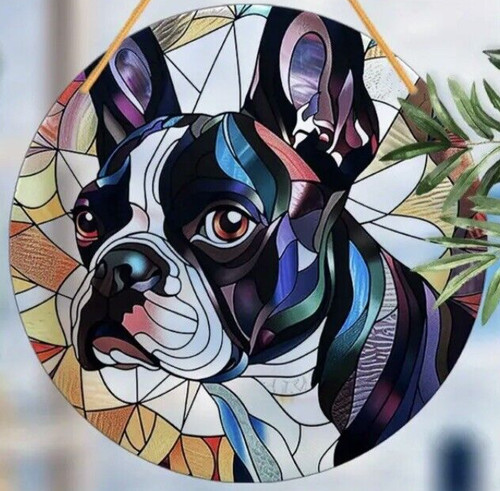 Boston terrier dog - boston, lover