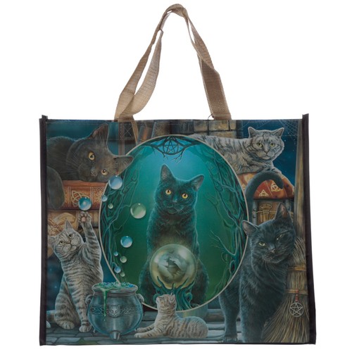 Lisa parker magic cat - lisa,