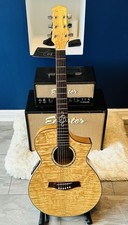 Ibanez Exotic Wood Serious