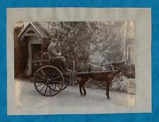 VICTORIAN PHOTOGRAPH PONY & TRAP, MAN IN STRAW BOATER
