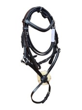 Premium Mexican Grackle Horse