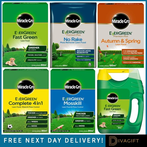 Fast lawn liquid food feed - food,