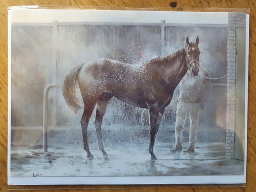 Racehorse greetings card