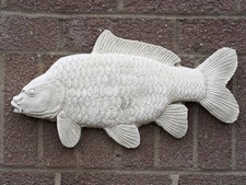 Large Common Carp Plaque Stone