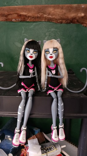 Monster high doll purrsephone - high, doll.