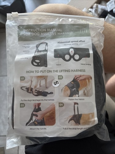 Mobility assist dog - dog, harness