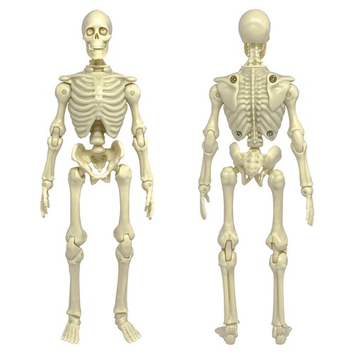 Super articulated inch - articulated,