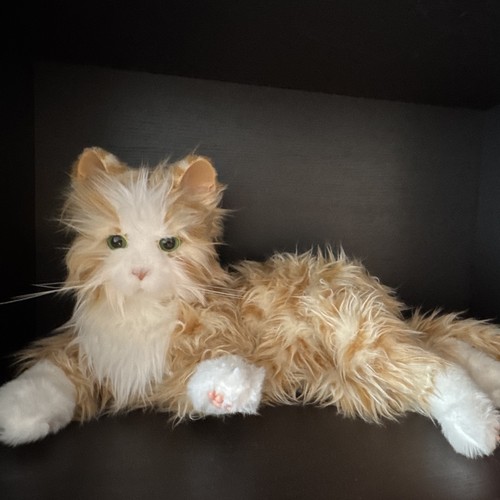 Ginger tabby robotic - ginger, cat