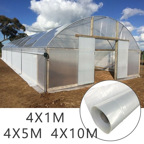 Greenhouse polythene - greenhouse,