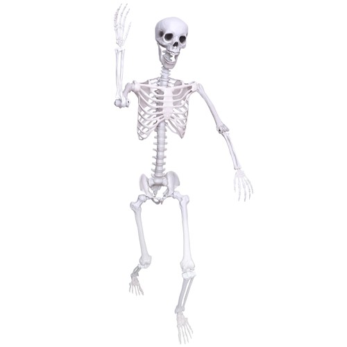 9ft halloween skeleton - halloween,