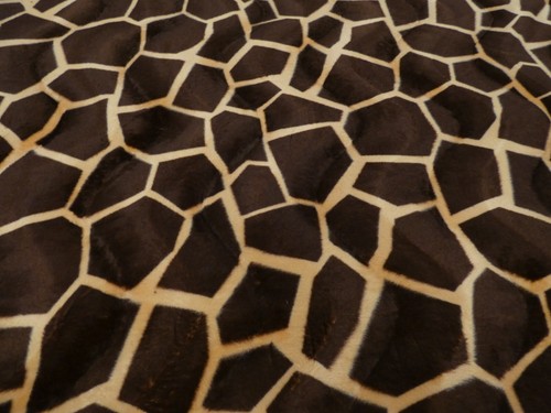 Animal print faux fur - print,