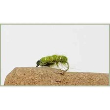 Olive, Semtex Bugs, Trout