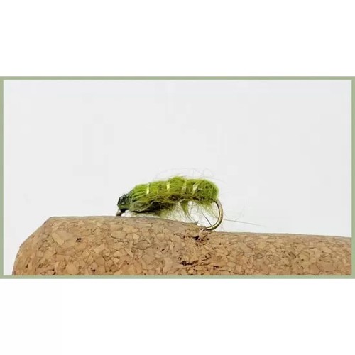 Olive semtex bugs trout - bugs,,