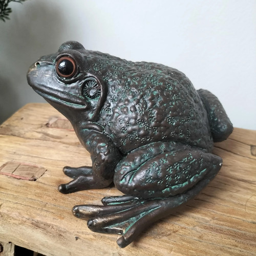 Frog toad garden - ornament, home