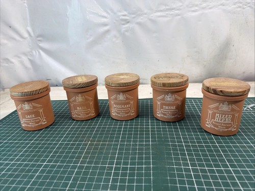 Vintage terracotta herb pots - terracotta,