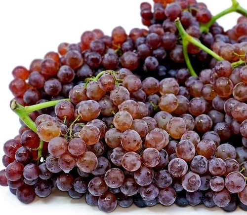 2pcs red purple - &, champagne