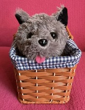 Wizard Of Oz Toto Dorothy’s