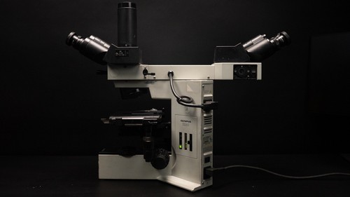 Olympus bx40f dual viewing - olympus,