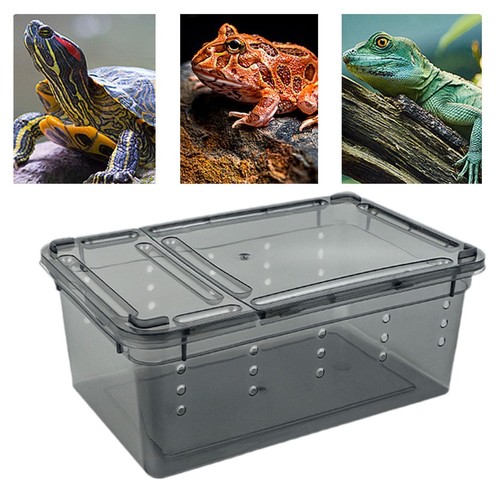 Reptile feeding box - reptile,